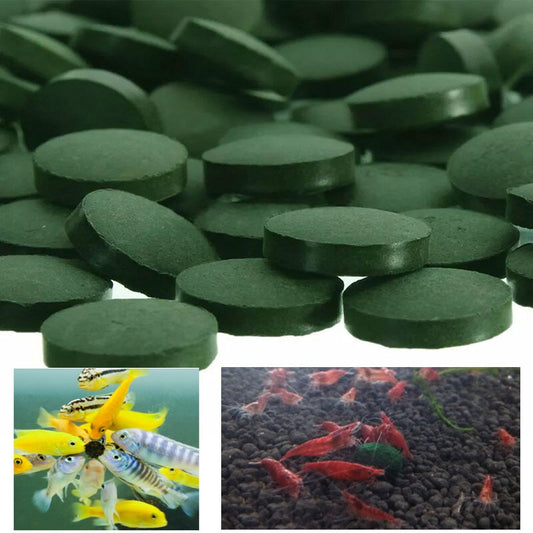 100pcs Spirulina Tablets Enrichment Favorite Pet Food fish crystal red shrimp pet food